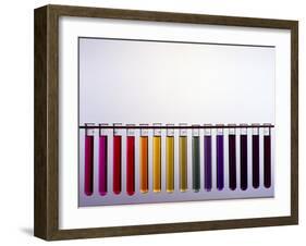 Universal Indicator Scale-Andrew Lambert-Framed Photographic Print