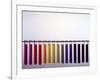 Universal Indicator Scale-Andrew Lambert-Framed Photographic Print