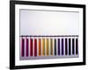 Universal Indicator Scale-Andrew Lambert-Framed Photographic Print