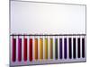 Universal Indicator Scale-Andrew Lambert-Mounted Photographic Print