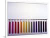 Universal Indicator Scale-Andrew Lambert-Framed Photographic Print