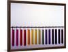 Universal Indicator Scale-Andrew Lambert-Framed Photographic Print