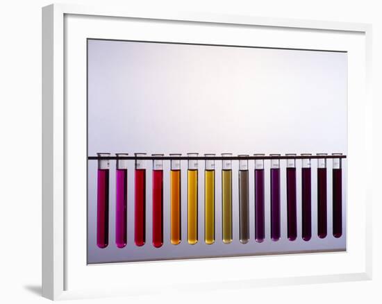 Universal Indicator Scale-Andrew Lambert-Framed Photographic Print