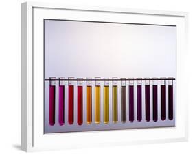 Universal Indicator Scale-Andrew Lambert-Framed Photographic Print