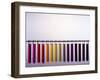 Universal Indicator Scale-Andrew Lambert-Framed Photographic Print