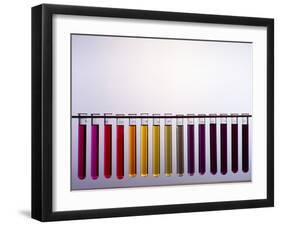 Universal Indicator Scale-Andrew Lambert-Framed Photographic Print