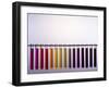 Universal Indicator Scale-Andrew Lambert-Framed Photographic Print