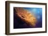 Universe-Pásztor András-Framed Photographic Print