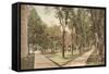 University, Ann Arbor, Michigan-null-Framed Stretched Canvas