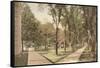 University, Ann Arbor, Michigan-null-Framed Stretched Canvas