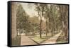 University, Ann Arbor, Michigan-null-Framed Stretched Canvas
