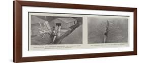 University Boat Race-null-Framed Giclee Print