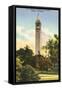 University Campanile, Berkeley, California-null-Framed Stretched Canvas