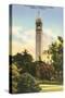 University Campanile, Berkeley, California-null-Stretched Canvas