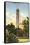 University Campanile, Berkeley, California-null-Framed Stretched Canvas