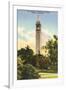 University Campanile, Berkeley, California-null-Framed Art Print