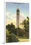 University Campanile, Berkeley, California-null-Framed Art Print