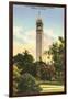 University Campanile, Berkeley, California-null-Framed Art Print