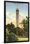 University Campanile, Berkeley, California-null-Framed Art Print