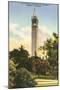 University Campanile, Berkeley, California-null-Mounted Art Print