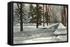 University in Winter, Ann Arbor, Michigan-null-Framed Stretched Canvas