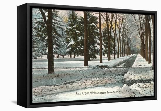 University in Winter, Ann Arbor, Michigan-null-Framed Stretched Canvas