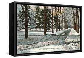 University in Winter, Ann Arbor, Michigan-null-Framed Stretched Canvas