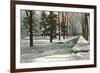 University in Winter, Ann Arbor, Michigan-null-Framed Premium Giclee Print