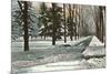 University in Winter, Ann Arbor, Michigan-null-Mounted Premium Giclee Print