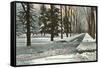 University in Winter, Ann Arbor, Michigan-null-Framed Stretched Canvas