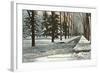 University in Winter, Ann Arbor, Michigan-null-Framed Art Print