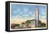 University Library, Austin Texas-null-Framed Stretched Canvas