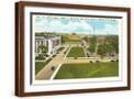 Brown Frame