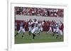 University Of Alabama Football Game, Tuscaloosa, Alabama-Carol Highsmith-Framed Art Print