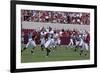 University Of Alabama Football Game, Tuscaloosa, Alabama-Carol Highsmith-Framed Art Print