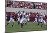 University Of Alabama Football Game, Tuscaloosa, Alabama-Carol Highsmith-Mounted Art Print