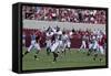 University Of Alabama Football Game, Tuscaloosa, Alabama-Carol Highsmith-Framed Stretched Canvas