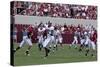 University Of Alabama Football Game, Tuscaloosa, Alabama-Carol Highsmith-Stretched Canvas