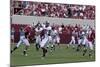 University Of Alabama Football Game, Tuscaloosa, Alabama-Carol Highsmith-Mounted Art Print