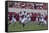 University Of Alabama Football Game, Tuscaloosa, Alabama-Carol Highsmith-Framed Stretched Canvas