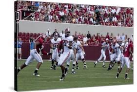 University Of Alabama Football Game, Tuscaloosa, Alabama-Carol Highsmith-Stretched Canvas