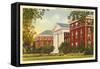 University of Alabama-null-Framed Stretched Canvas