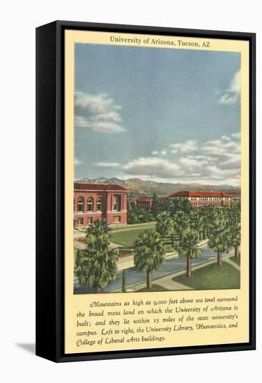 University of Arizona at Tucson-null-Framed Stretched Canvas