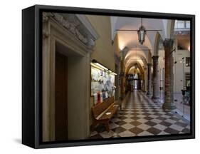 University of Bologna-null-Framed Stretched Canvas