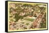 University of California, Berkeley-null-Framed Stretched Canvas