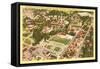 University of California, Berkeley-null-Framed Stretched Canvas