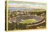 University of California Stadium, Berkeley-null-Stretched Canvas