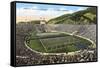 University of California Stadium, Berkeley-null-Framed Stretched Canvas