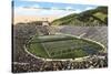 University of California Stadium, Berkeley-null-Stretched Canvas