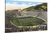 University of California Stadium, Berkeley-null-Stretched Canvas